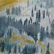 Colorado Mists